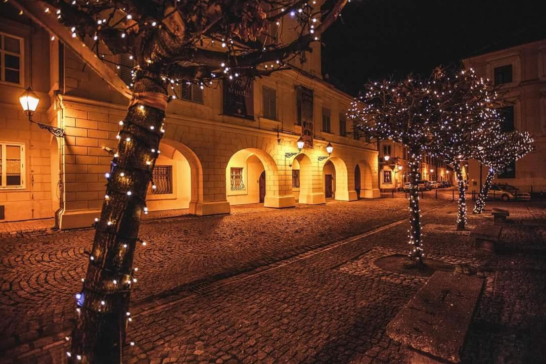 Apartman Aurelius - Private Parking Osijek Luaran gambar
